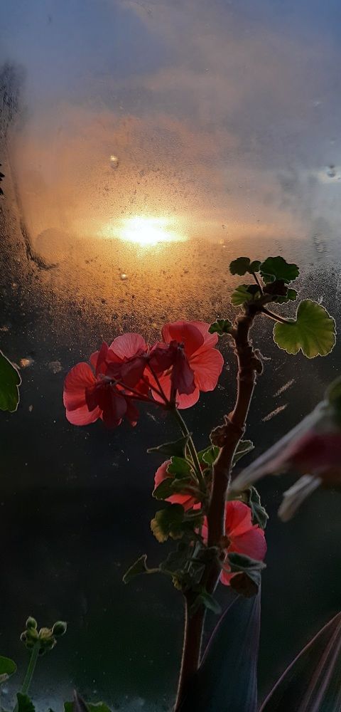 Photograph by Зоя Уколова