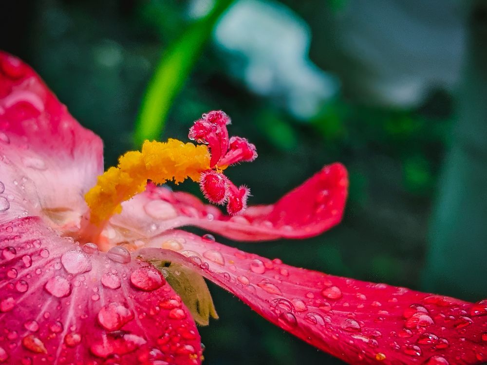 Photograph by LAM VU SON