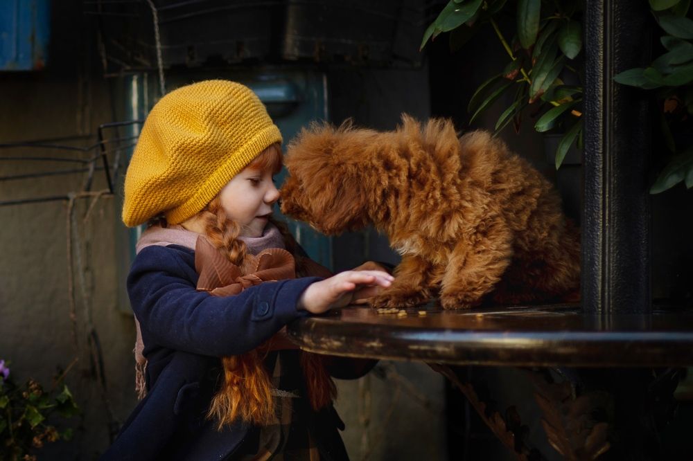 Photograph by Ольга Хентова