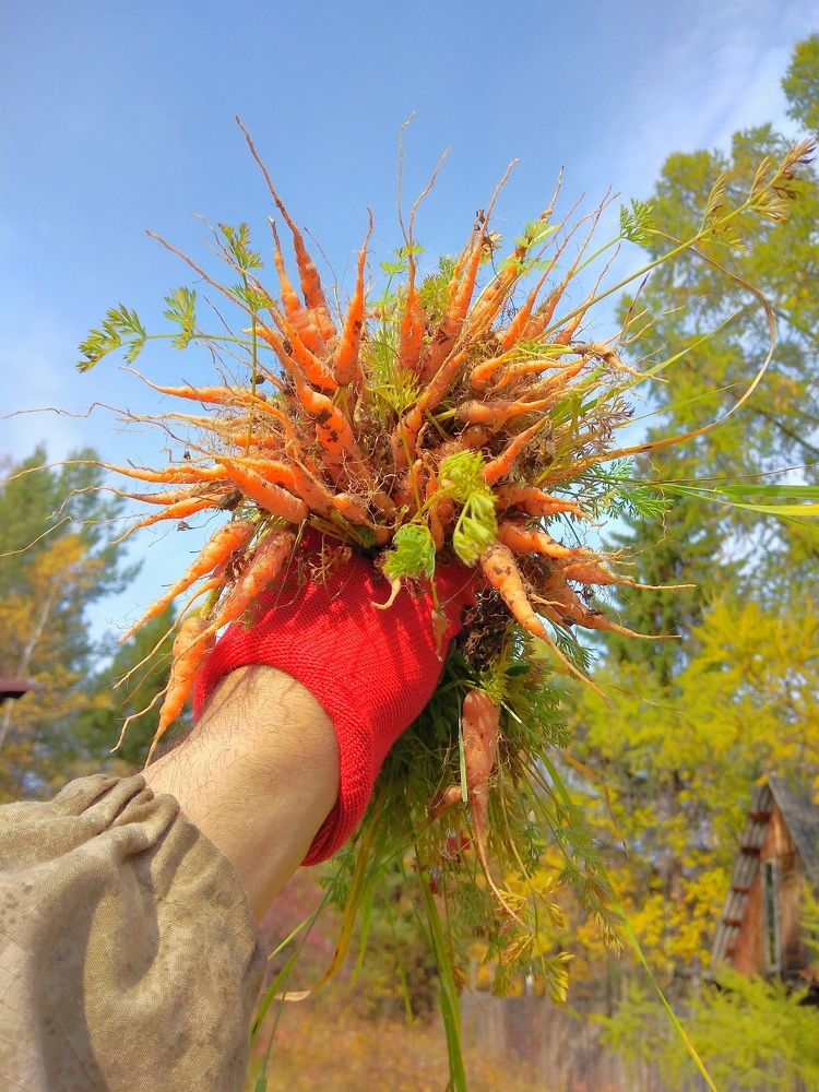 И Ленин такой молодой