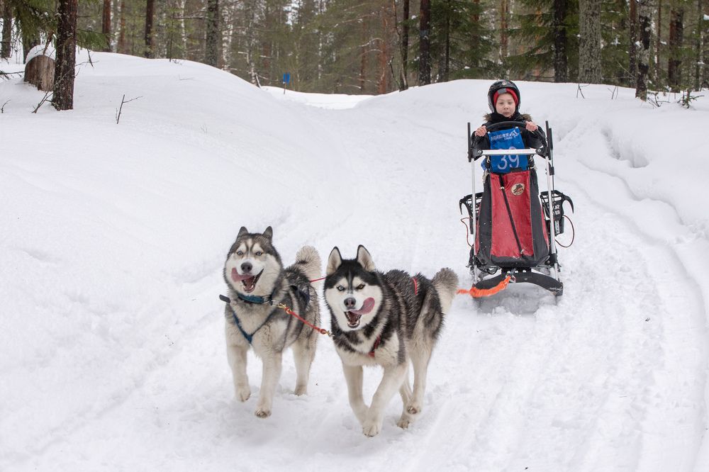 Photograph by Илья Юфа