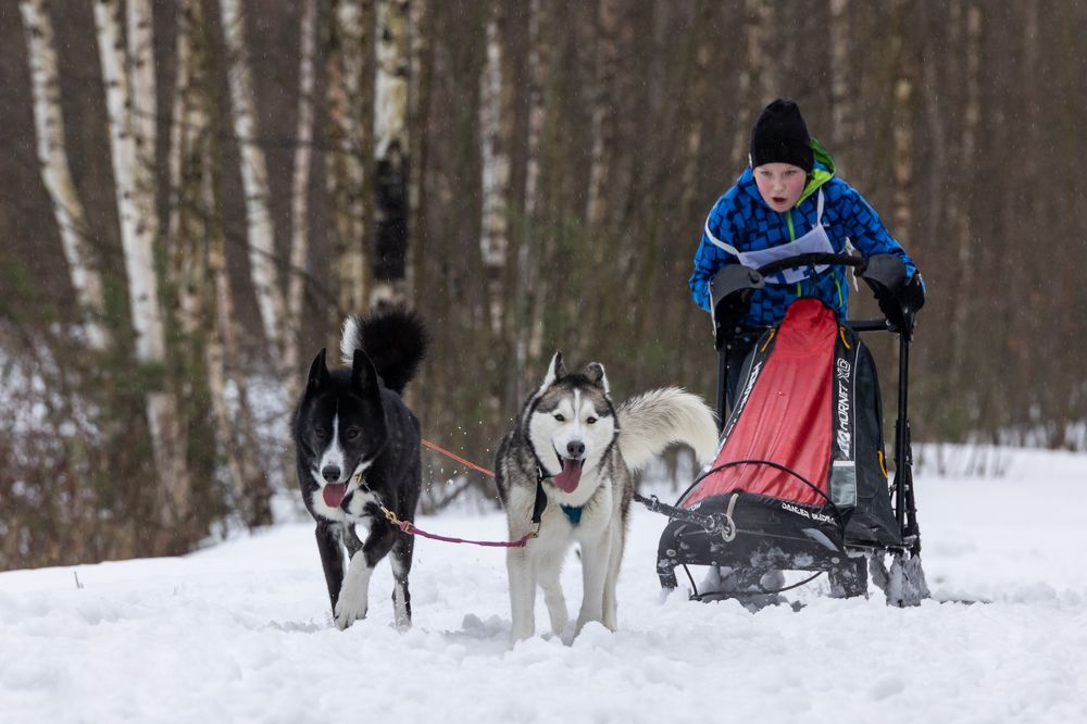 Photograph by Илья Юфа