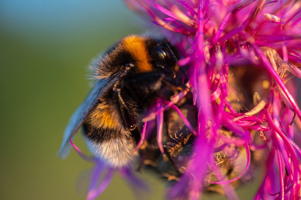 Photograph by Светлана Михайлова
