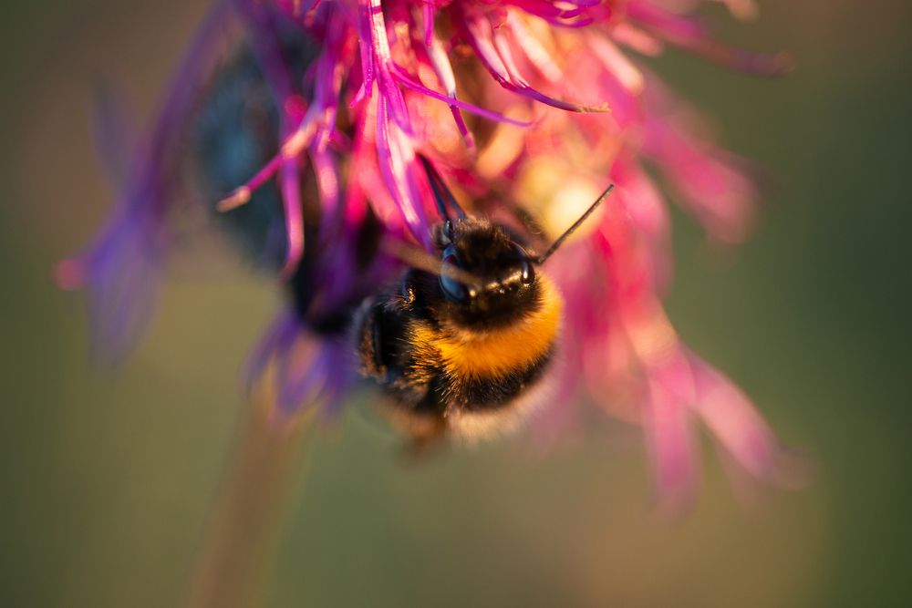 Photograph by Светлана Михайлова