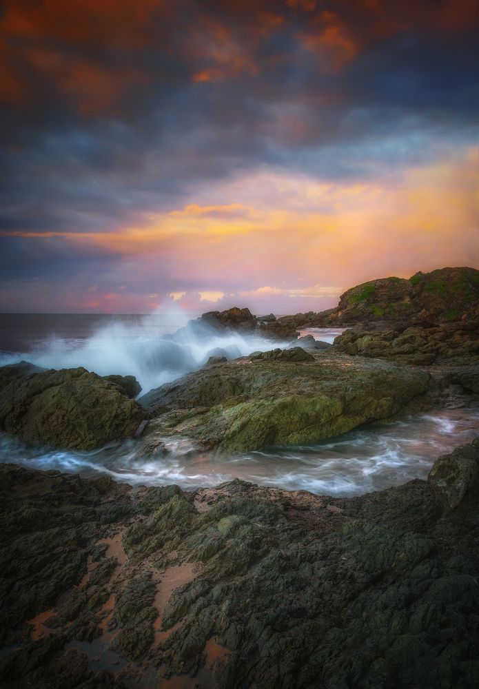 Photograph by Louise Richards