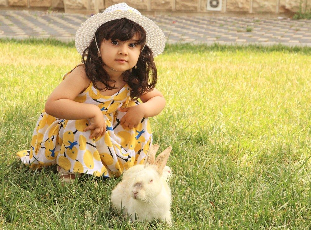 Photograph by Владимир Осипов