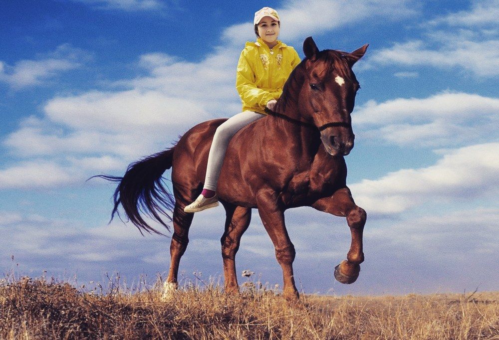 Photograph by Владимир Осипов