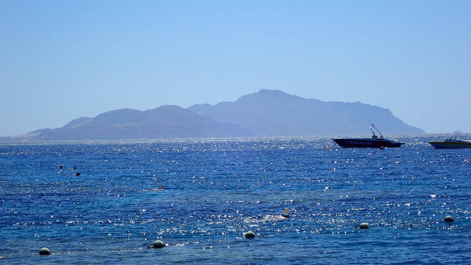 Photo #6521074