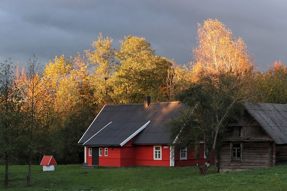 Контрасты на фоне природы