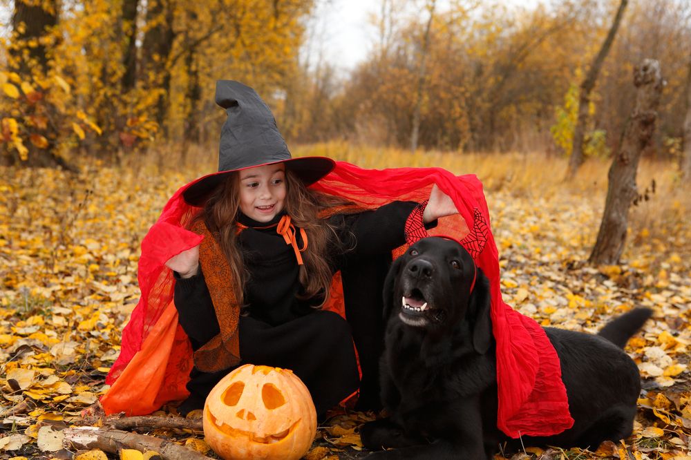 Photograph by Elena Guseva