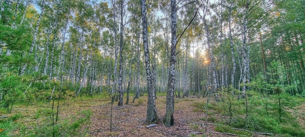 Photograph by Дмитрий Коршак