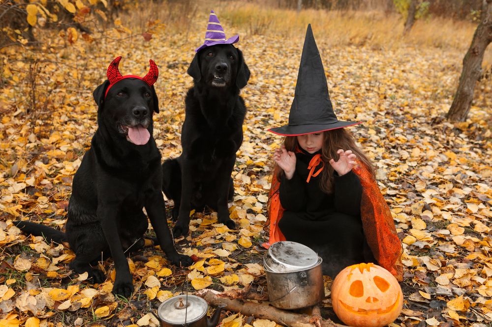 Photograph by Elena Guseva