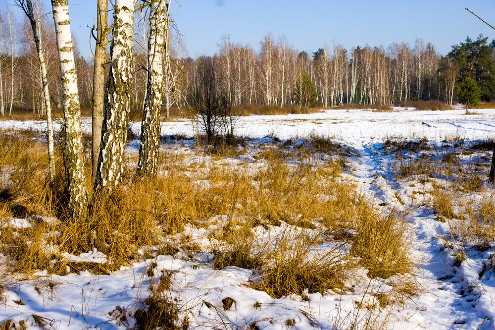 Photograph by Александр