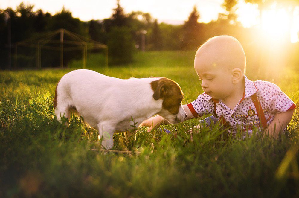 Photograph by Катя Бушная