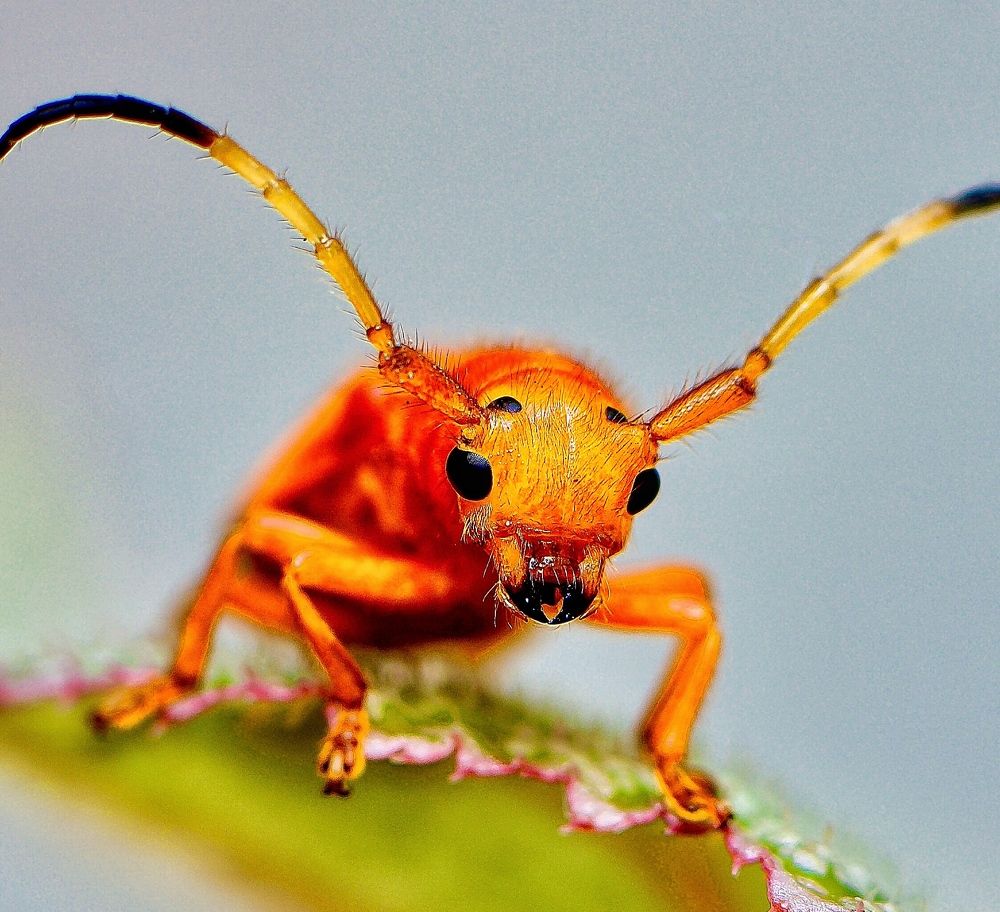 Photograph by Sharel Albor