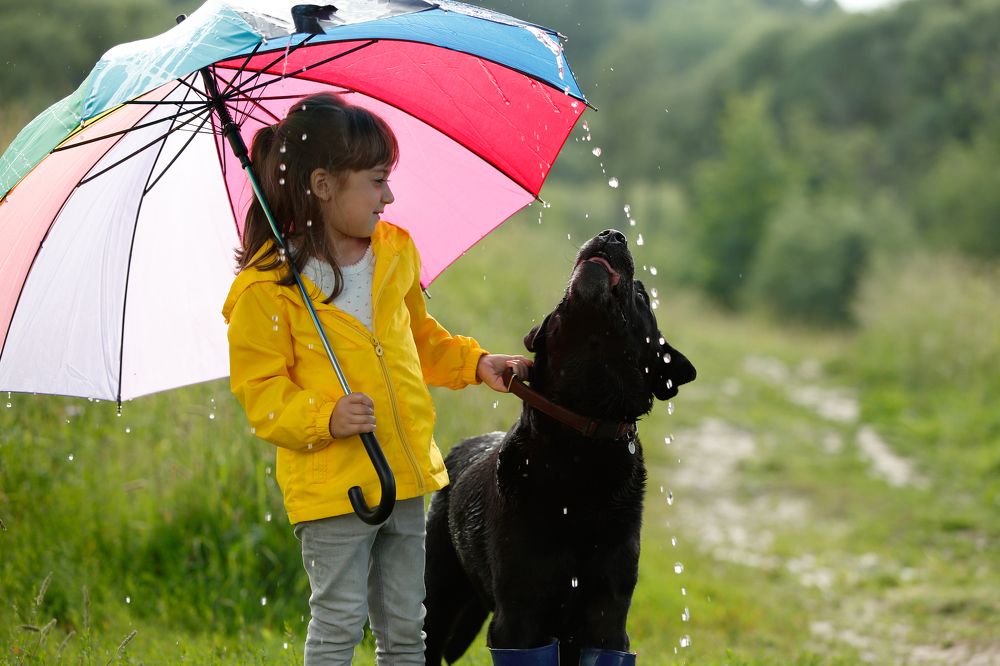 Photograph by Elena Guseva