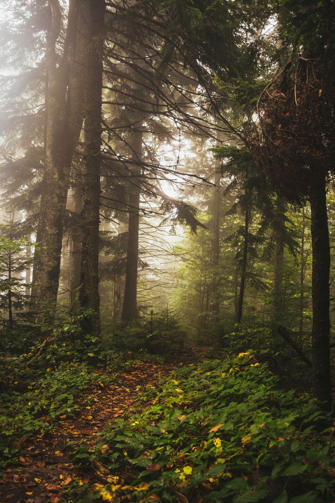 Photograph by Кристина Оксенюк