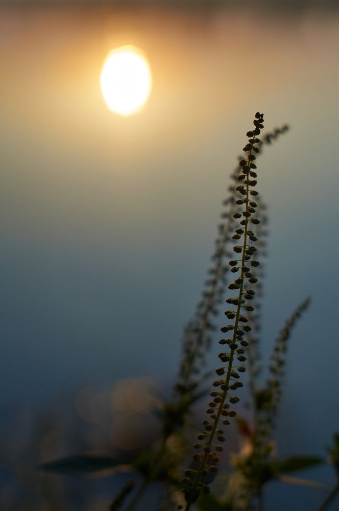 В небо / Into The Sky