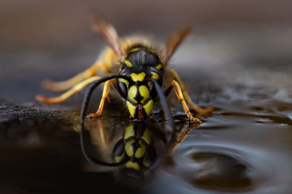 Photograph by Иван Гаврелюк