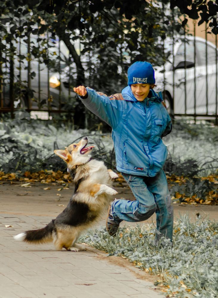 Photograph by Ольга Заповедная