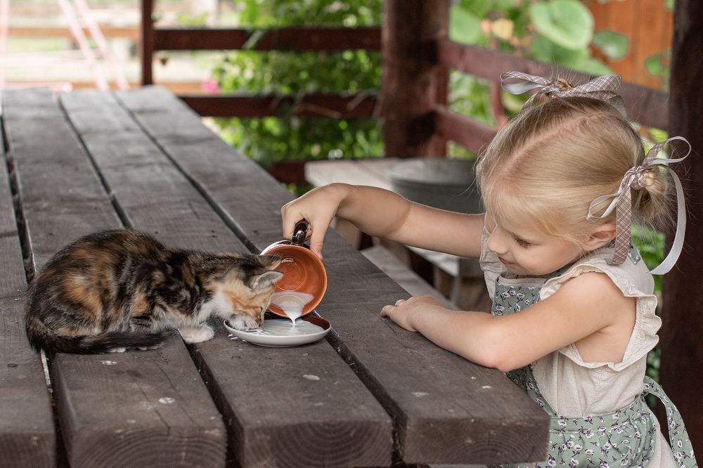 Фотография автора Светлана Дроголюбова