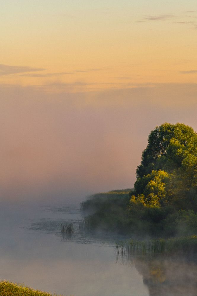 Photograph by Александр Ендин