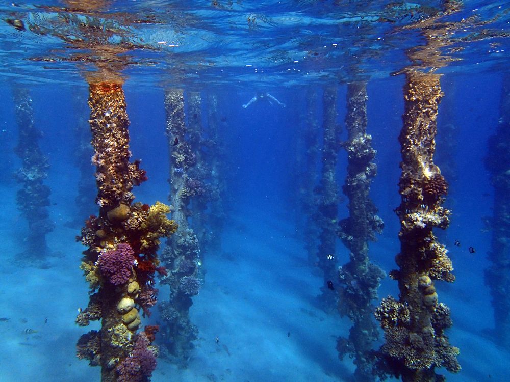 Photograph by Anna Koroleva