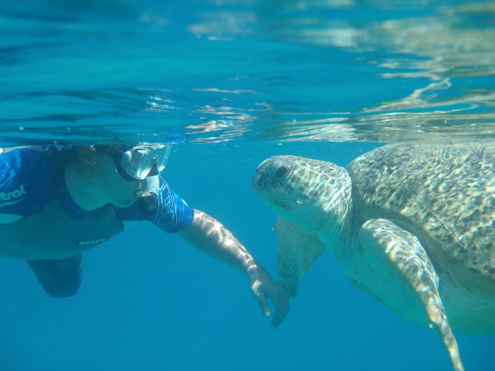 Photograph by Anna Koroleva