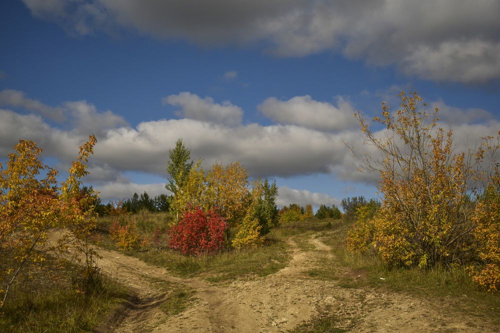 Photograph by Роман Пацкевич