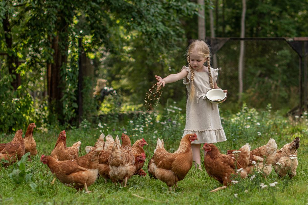 Photograph by Светлана Дроголюбова