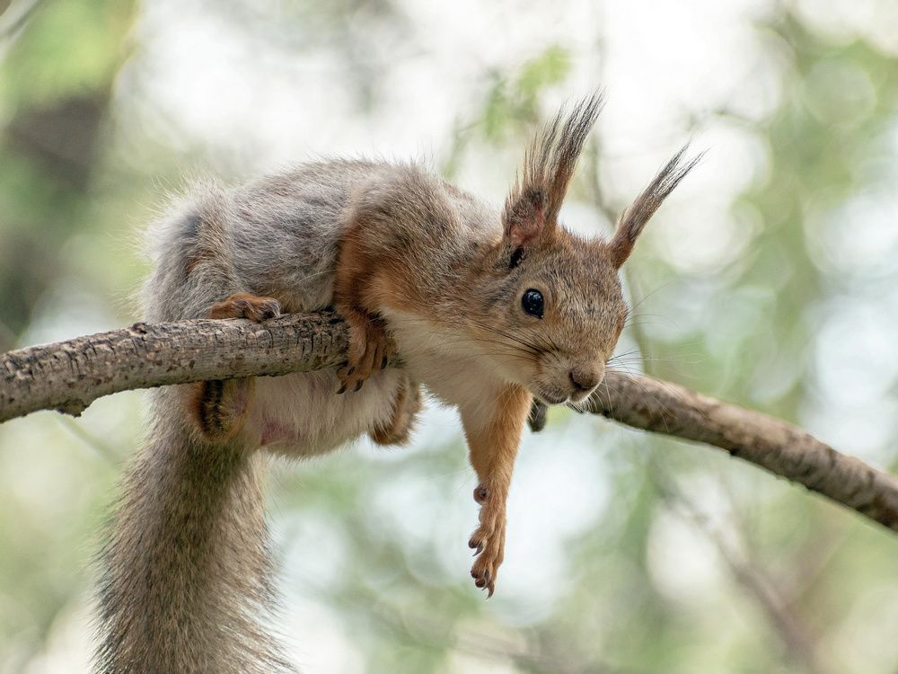 Ты куда Одиссей? От жены, от детей...