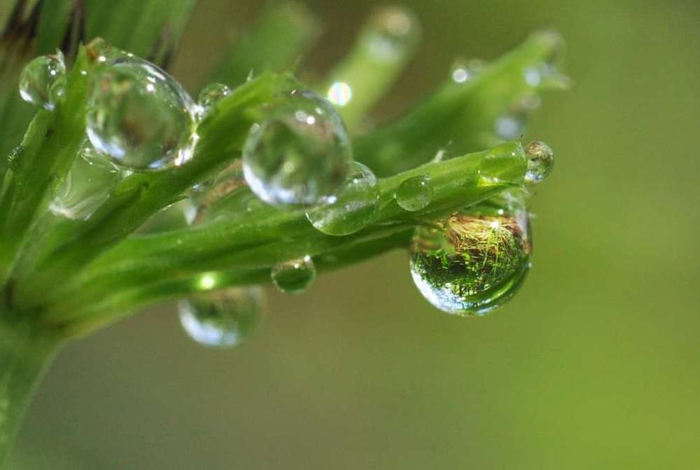 Photograph by Татьяна Дорошина