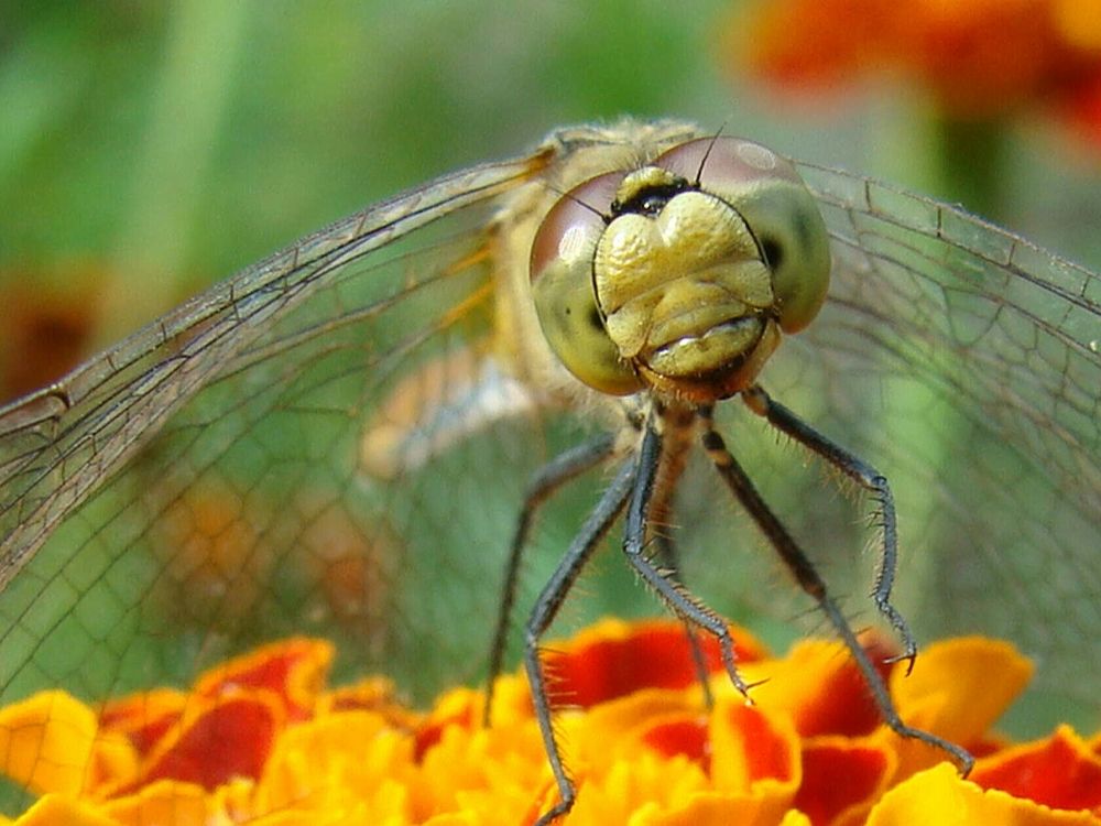 Фотография автора Павел Попов