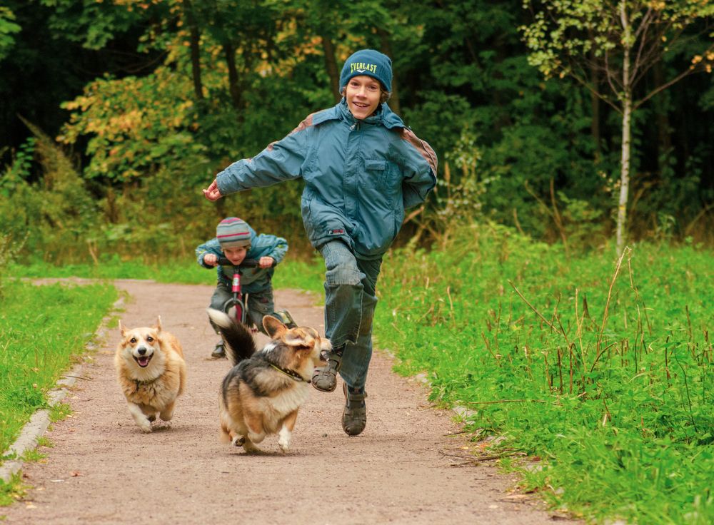 Приключения 4х друзей