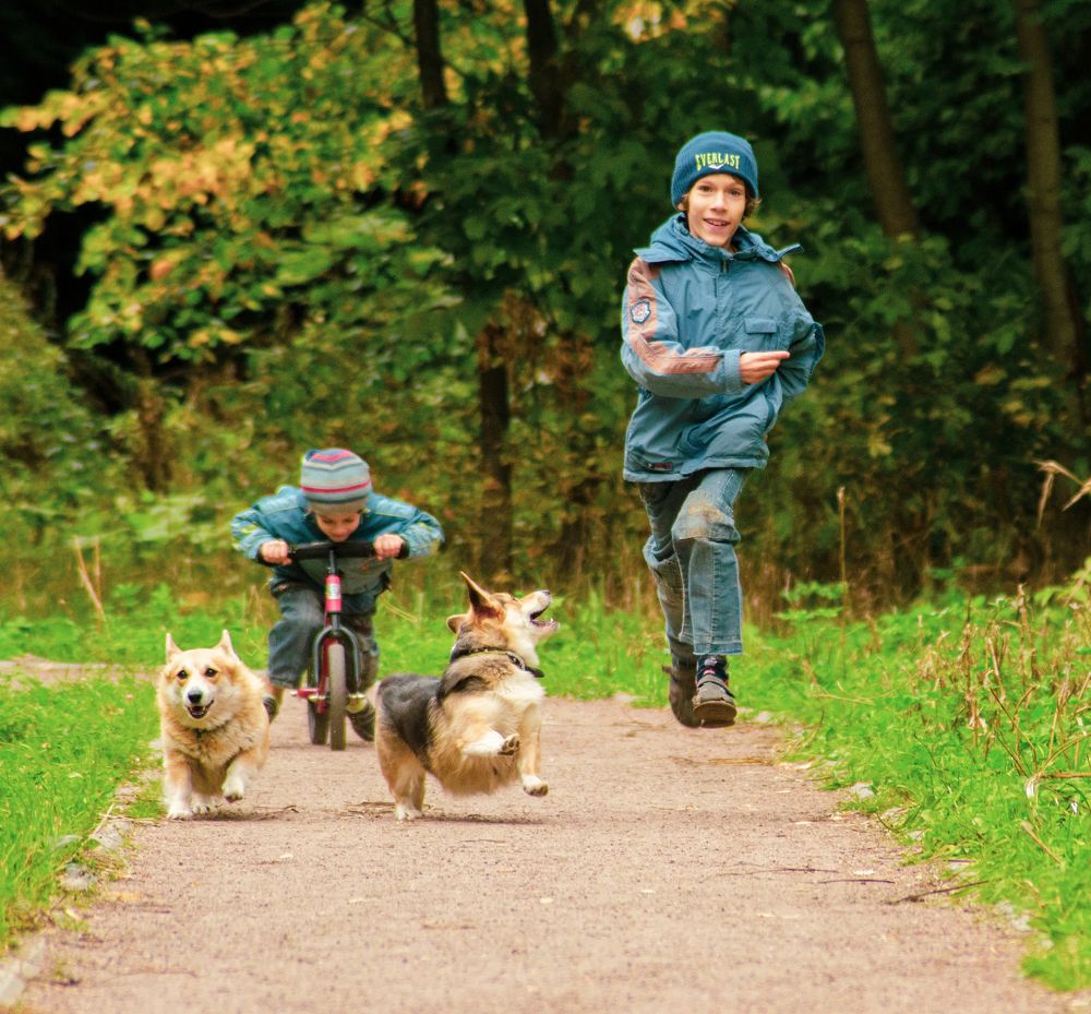 Дружба вдохновляет