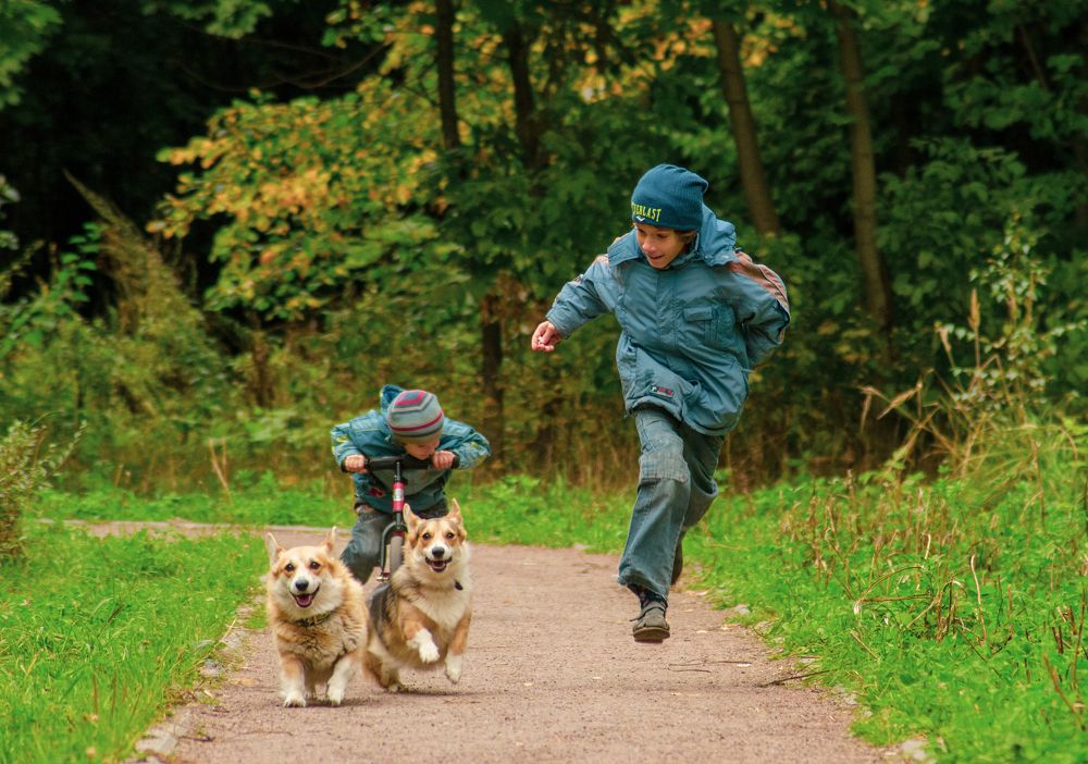 Photograph by Ольга Заповедная