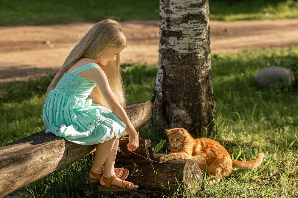 Фотография автора Светлана Дроголюбова
