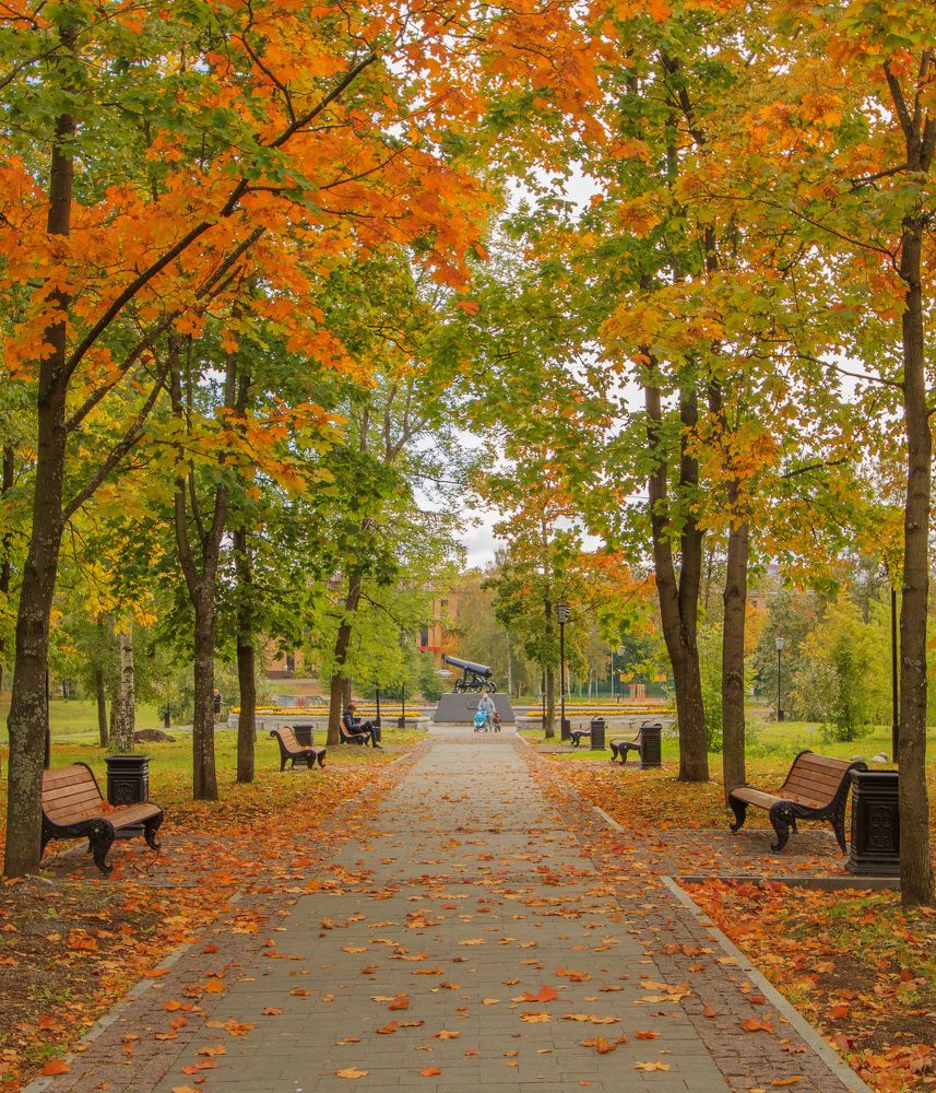 Photograph by Никита Луферов