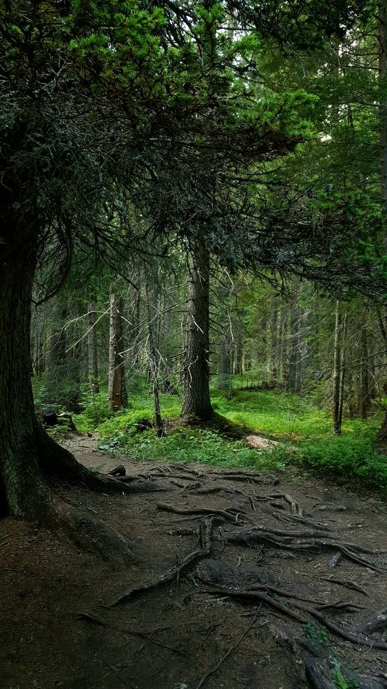 Photograph by Vira Popova