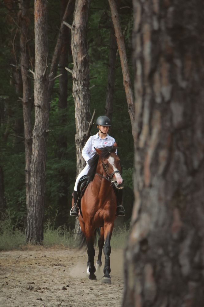 Photograph by Юлия Щербань