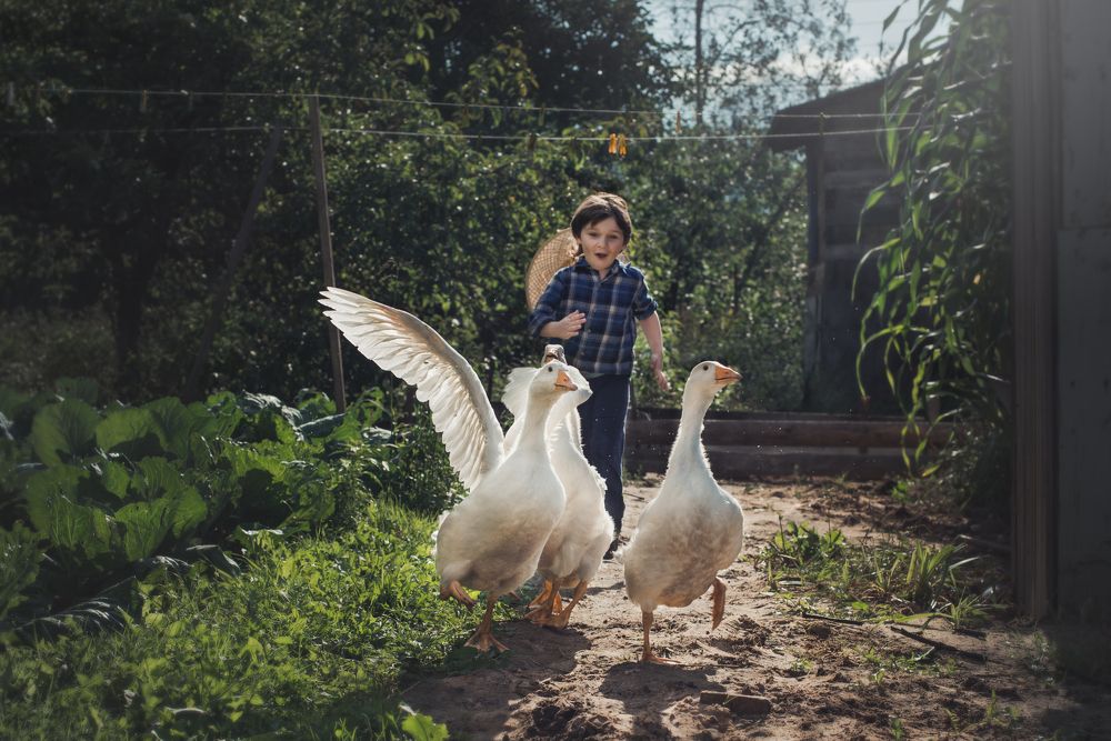 Photograph by Ольга Лобачёва