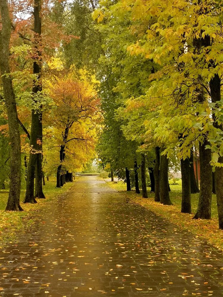 Аллеи Осени