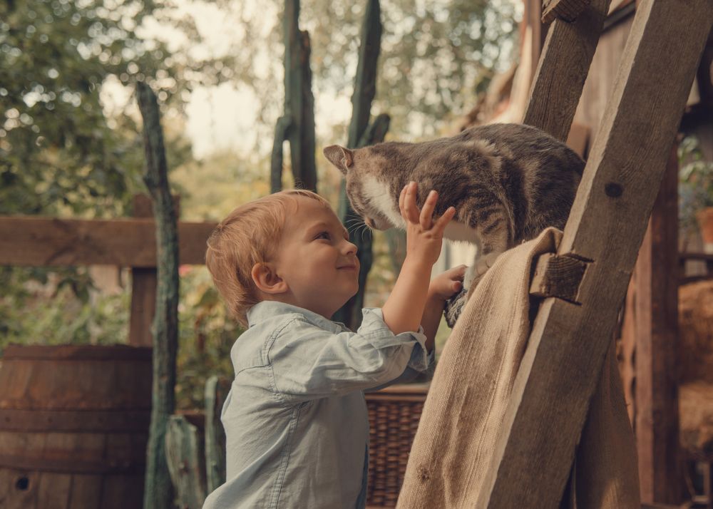 Photograph by Ольга Лобачёва