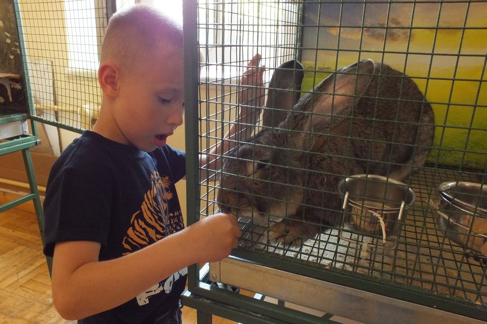 Фотография автора Иван Богомазов