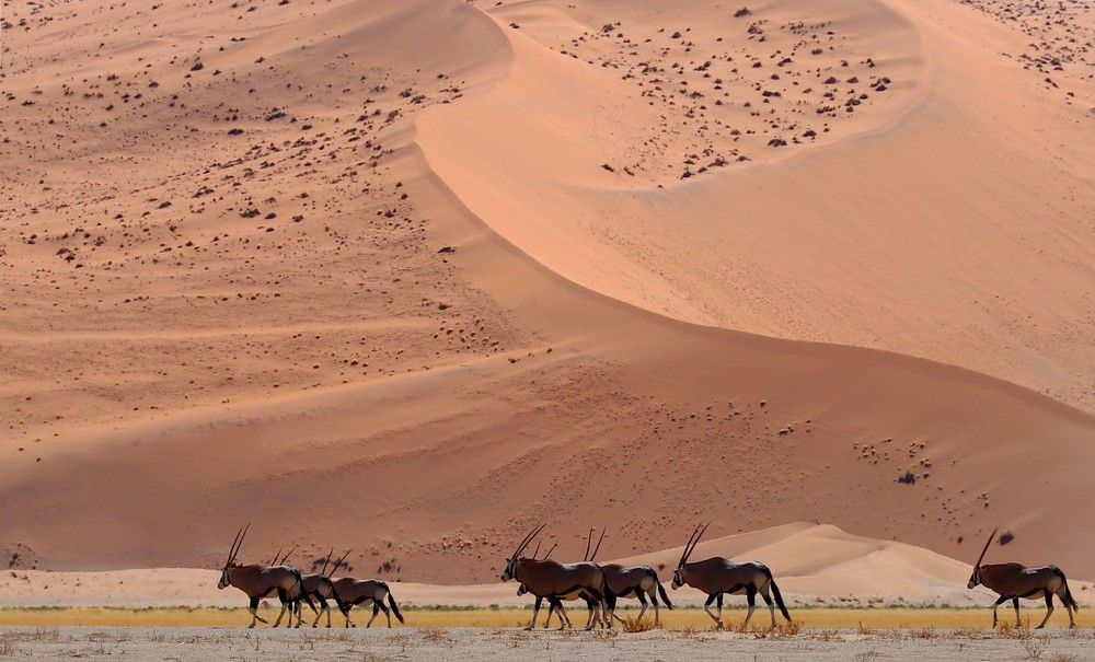 Photograph by Диана Жагрина