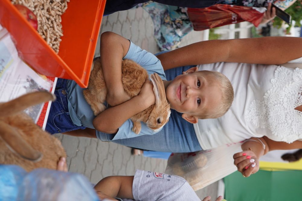 Фотография автора Иван Богомазов