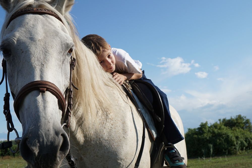 Фотография автора Иван Богомазов