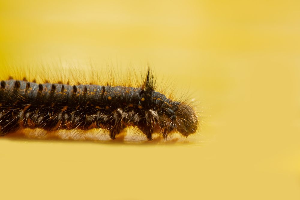 Photograph by Галина Шарапова