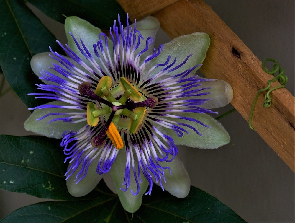 Photograph by Effie Zacharia