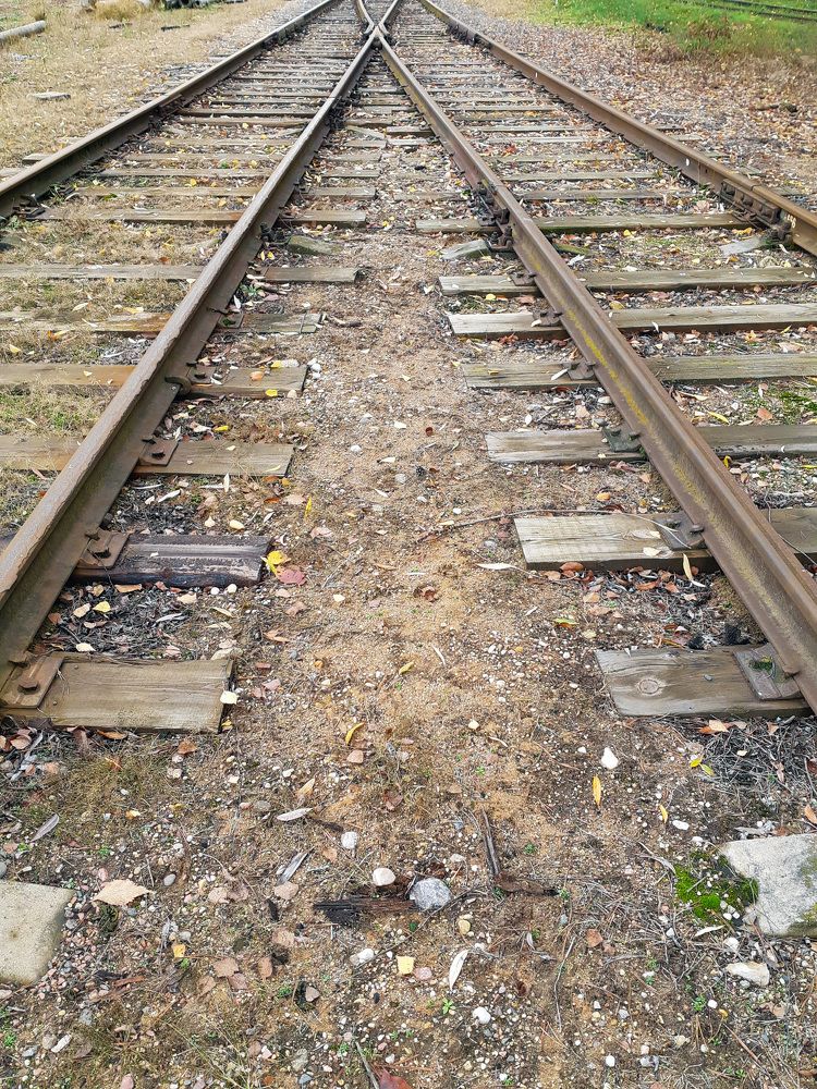 Фотография автора Александра Карпикова